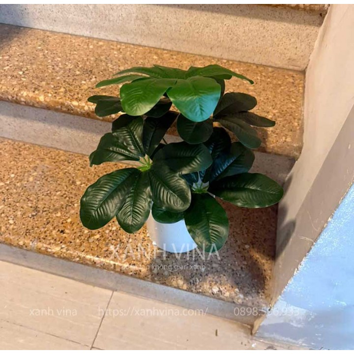 Chậu cây giả để bàn kim ngân lượng